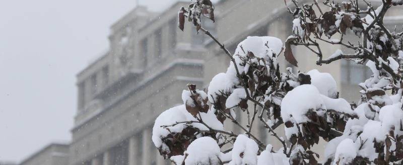 Фото пресс-службы Государственной думы РФ