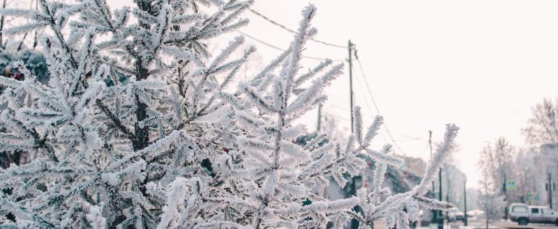 Фото Тимура Бойкова/Вологда-Поиск