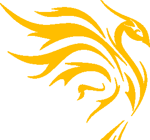 Феникс-Орто