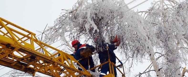 Фото со страницы Светланы Грачевой