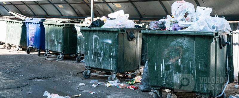 Фото: Вологда-поиск