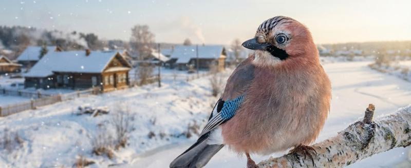 Создано ИИ (Google Gemini)