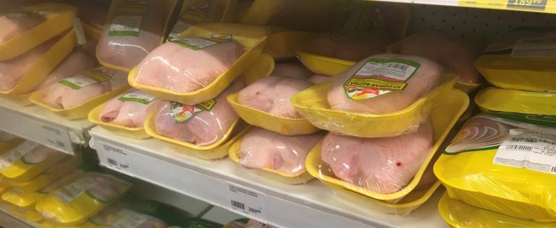 Фото Тимура Бойкова/Вологда-Поиск