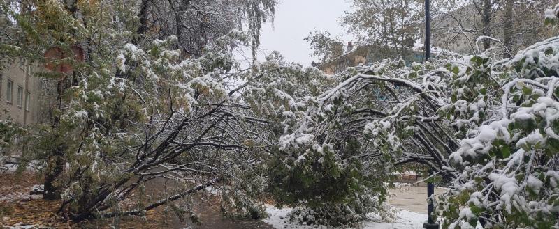 Фото Тимура Бойкова/Вологда-Поиск