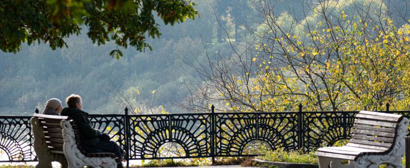 Фото Тимура Бойкова/Вологда-Поиск