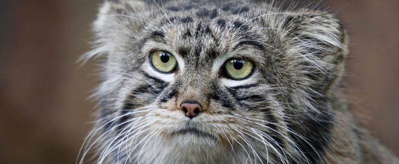 Фото из тг-канала Светланы Акуловой