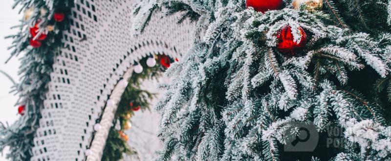 Тимур Бойков / Вологда-Поиск