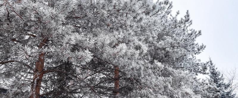 Тимур Бойков / Вологда-Поиск