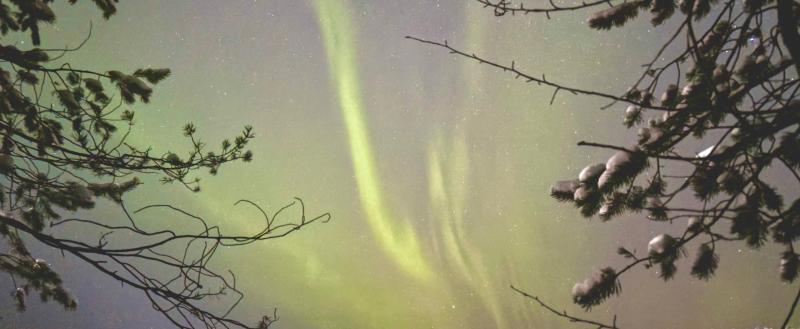 Фото Тимура Бойкова/Вологда-Поиск