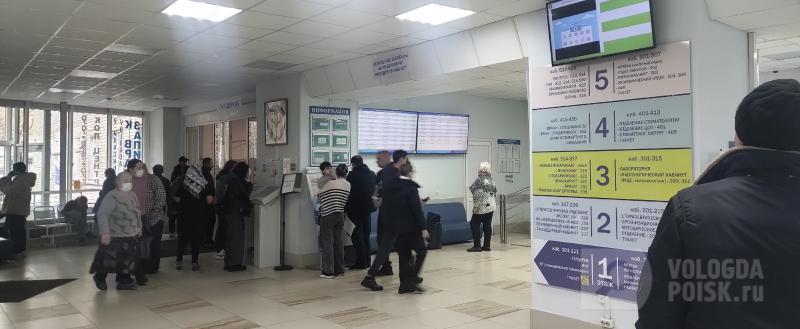 Елена Литвинова / Вологда-Поиск