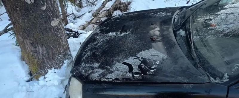 УМВД России по Вологодской области