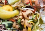 Пищевые отходы: маленькие шаги к большой экологии