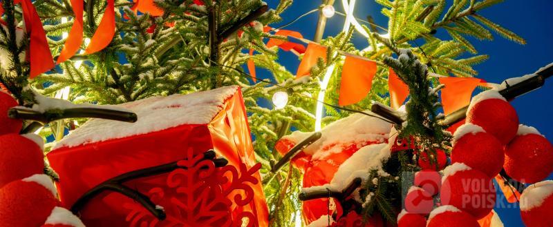 Фото: Вологда-поиск