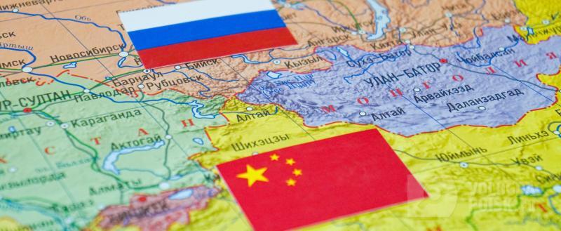 Фото: Вологда-поиск