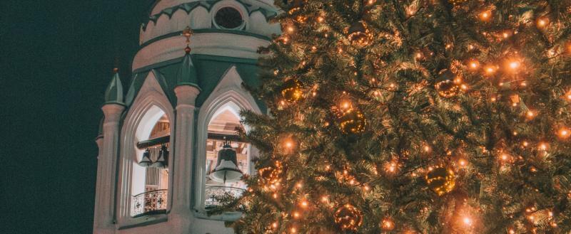 Фото Тимура Бойкова/Вологда-Поиск