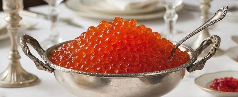 Фото Тимура Бойкова/Вологда-Поиск