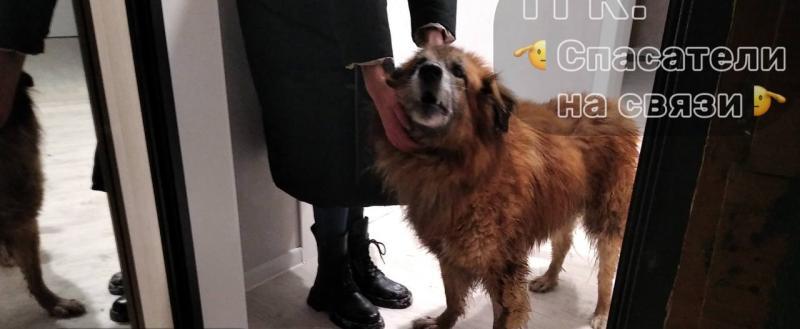 Фото из телеграм-канала 