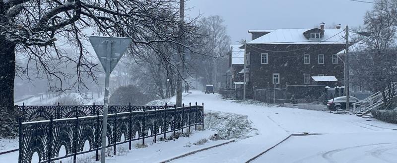 Фото Тимура Бойкова/Вологда-Поиск