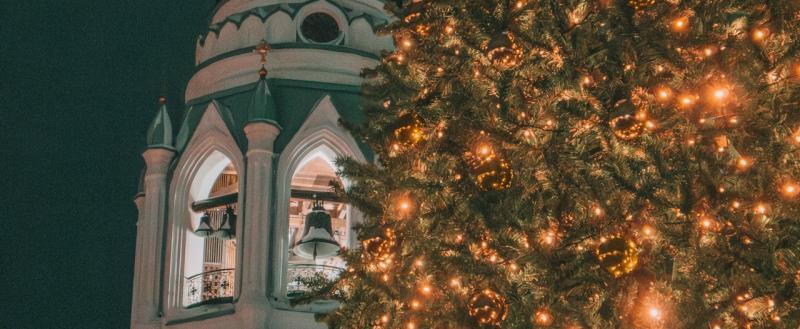 Тимур Бойков, Vologda-poisk.ru