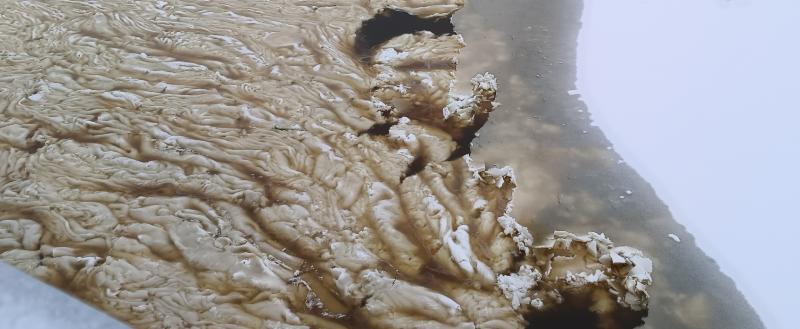 Жителей поселка Кувшиново смутил цвет воды в реке Вологде