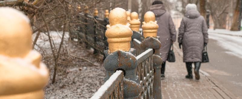 Фото Тимура Бойкова/Вологда-Поиск