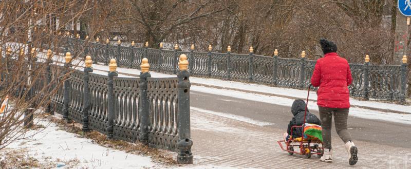 Фото Тимура Бойкова/Вологда-Поиск