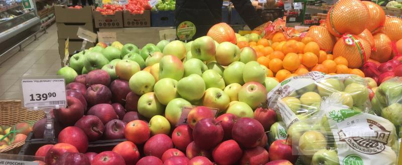 Фото: Вологда-поиск