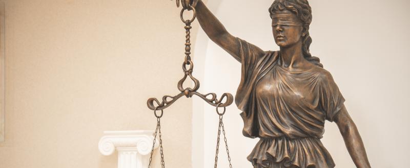 Фото Тимура Бойкова/Вологда-Поиск