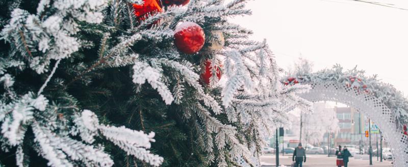 Вологда-поиск