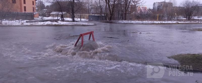 Алексей Ниткин / Вологда-Поиск