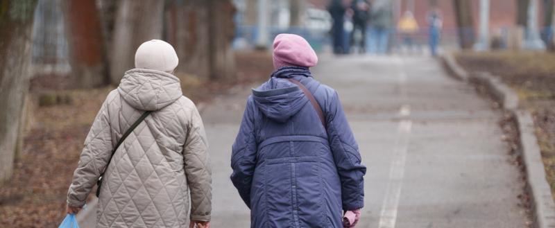 Фото Тимура Бойкова/Вологда-Поиск