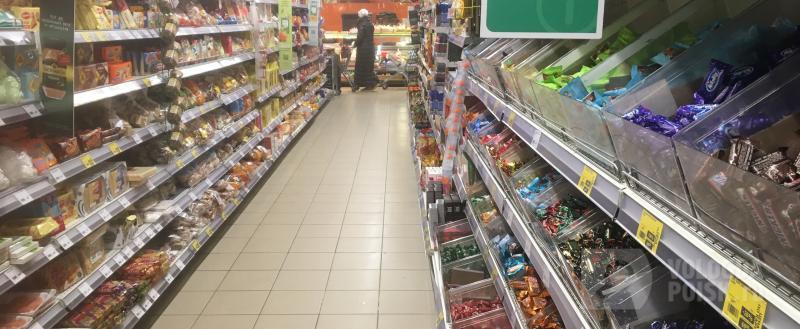 Вологда-Поиск