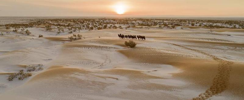 Фото: Global Look Press/TPG