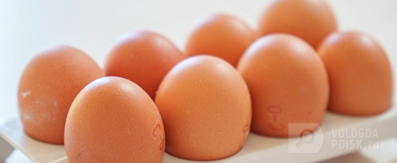 Вологда-поиск