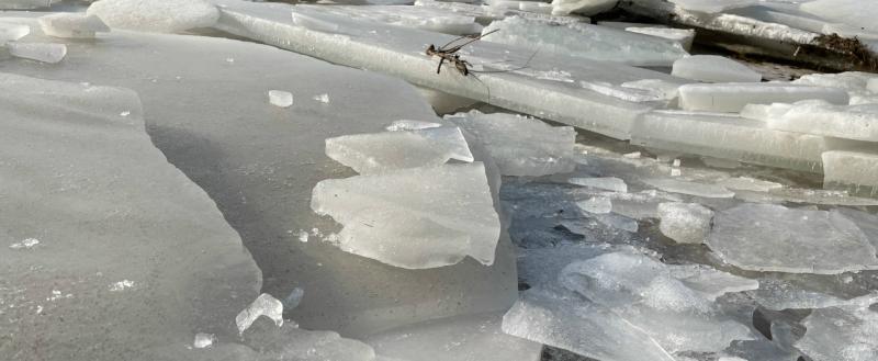 Тимур Бойков, Vologda-poisk.ru