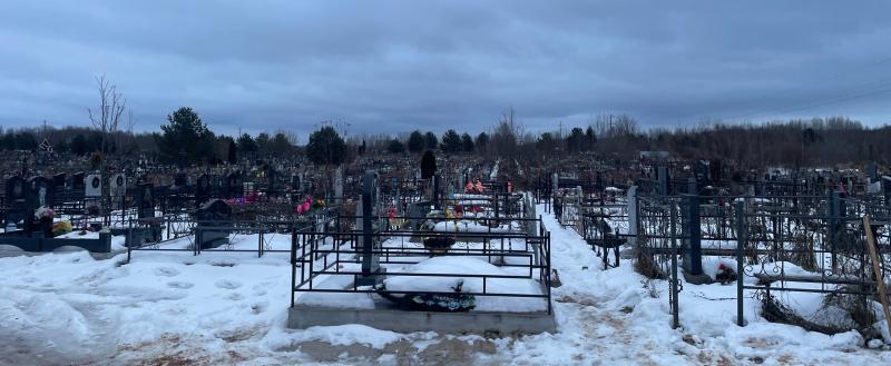 Фото Тимура Бойкова/Вологда-Поиск