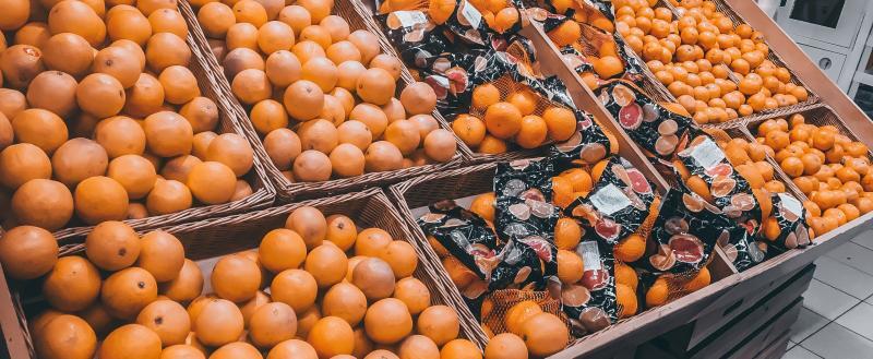 Фото Тимура Бойкова/Вологда-Поиск