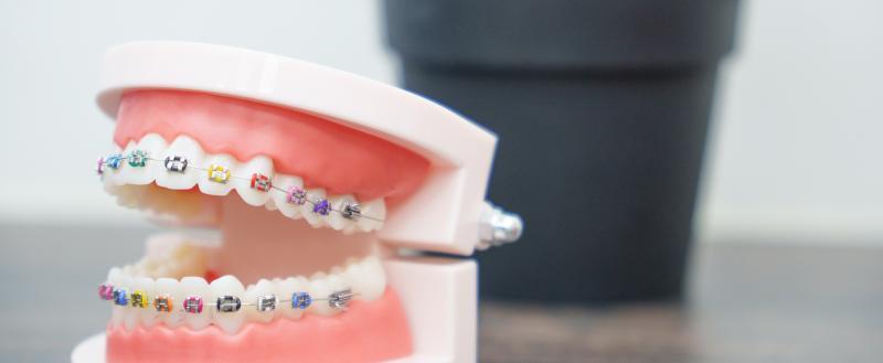 Фото Тимура Бойкова/Вологда-Поиск