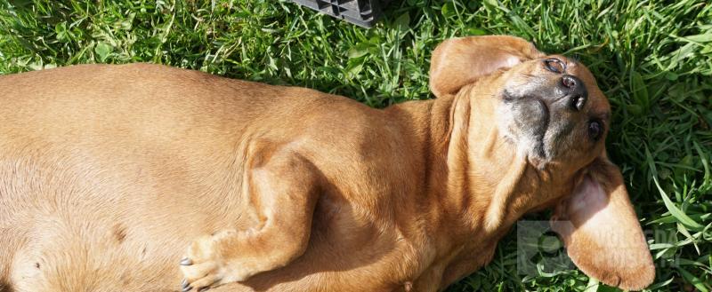 Вологда-поиск