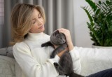 Можно сэкономить на психологе: 5 причин, по которым стоит завести кота