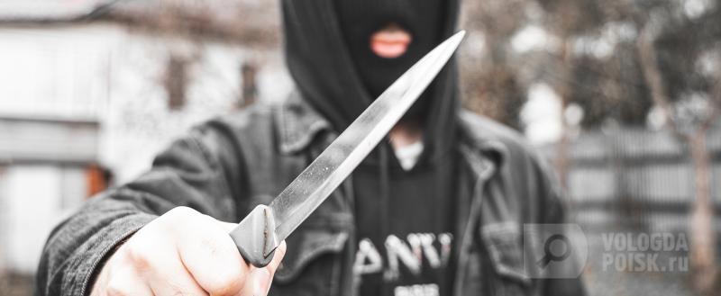 Фото: Вологда-поиск