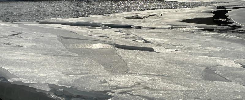 Тимур Бойков, Vologda-poisk.ru