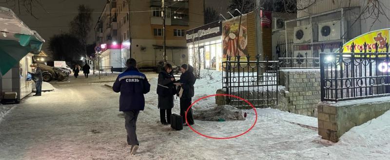 Фото: ТГ-канал ВЕСТИ35.РФ