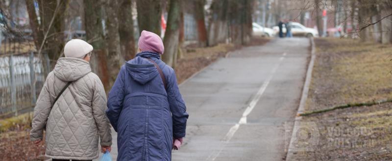 Вологда-Поиск