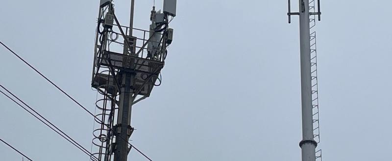 Фото Тимура Бойкова/Вологда-Поиск