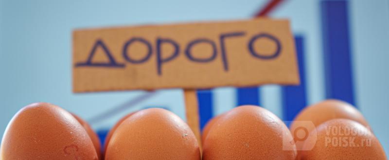 Фото: портал 