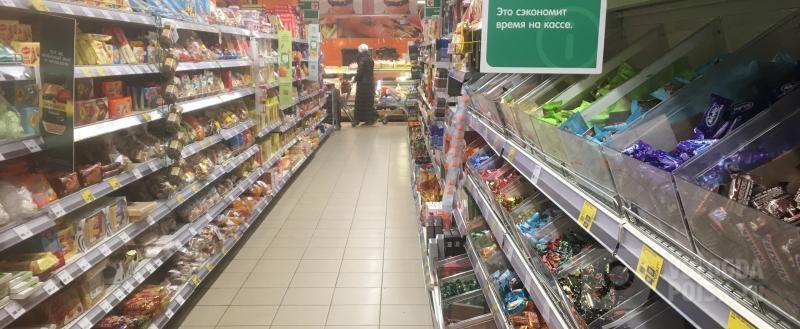 Вологда-Поиск