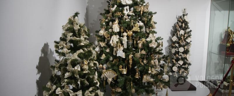 Фото: Вологда-поиск