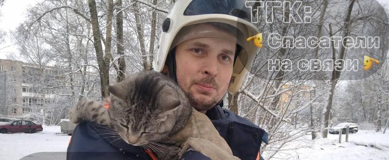 Фото из телеграм-канала вологодских спасателей