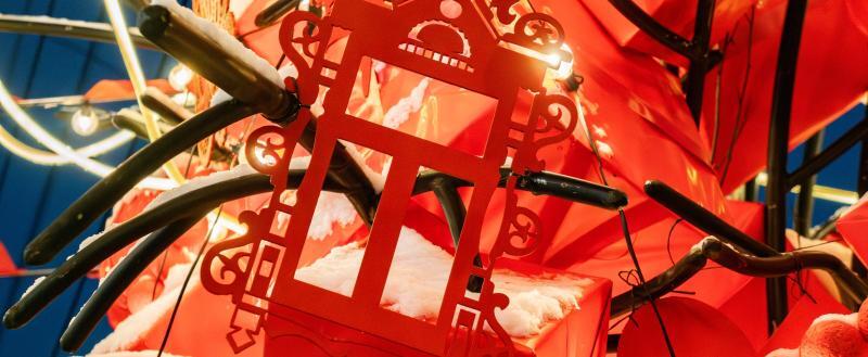 Фото Тимура Бойкова/Вологда-Поиск